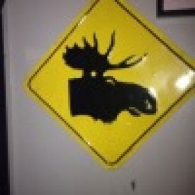 Moose678's picture