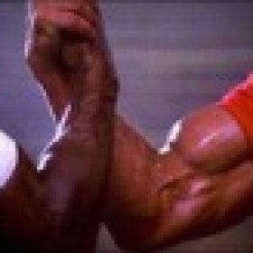 NEmeathead's picture