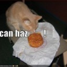Cheezeburgerkat's picture
