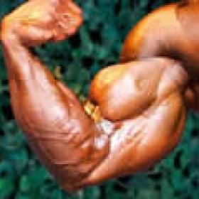 bicepMafia's picture