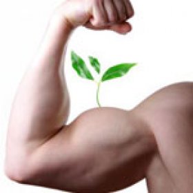 activehead's picture