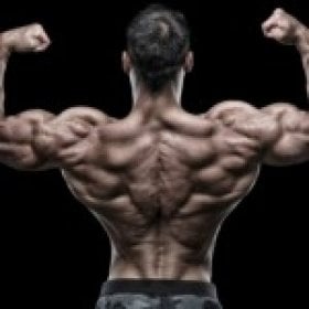 muscle-italia's picture