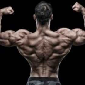 muscle-italia's picture