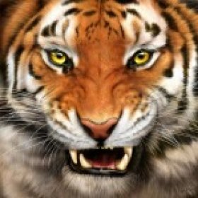 CryingTiger's picture