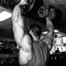 Muscle Muffin 1's picture