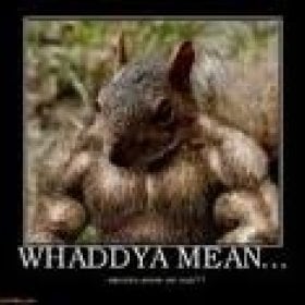 Kyletm3's picture