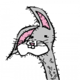 rabbit01's picture