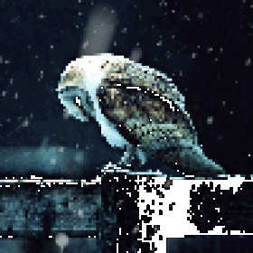 Fawker's picture