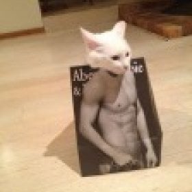 anonman17's picture