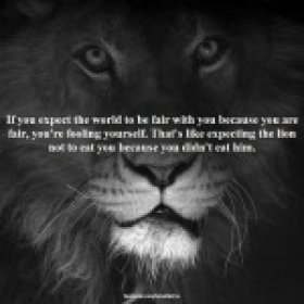 sofcknalpha's picture