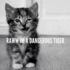 littletigar24's picture