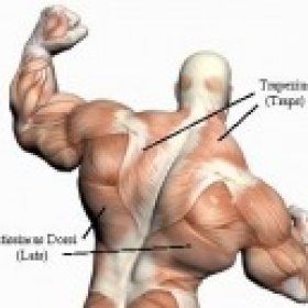 IsoFit's picture