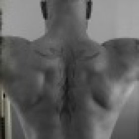 gym4life's picture