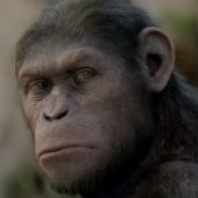 alphamonkey's picture