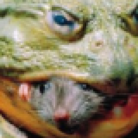 Mekanik's picture