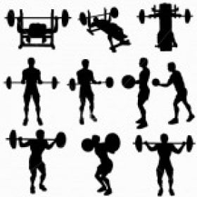 trainingdaily's picture