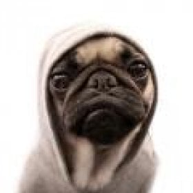 Dw222's picture