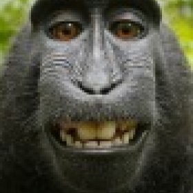 Origi09's picture