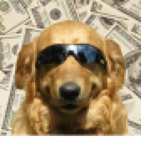 headcrack305's picture