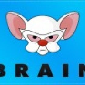 The Brain's picture