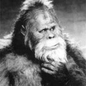 Bigfoot's picture