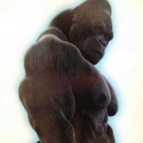 Stroke76's picture