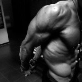 gym addict's picture