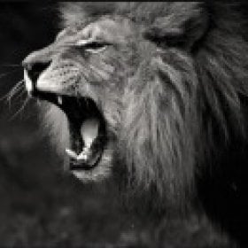 Braver deeds's picture