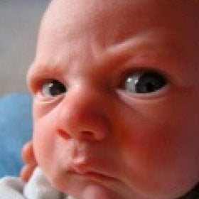 readyman's picture