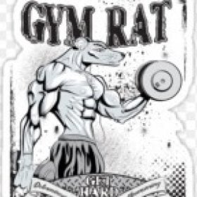 GYMRAT1234's picture