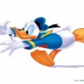 Donald Duck's picture