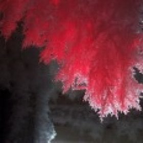 Red Ice's picture