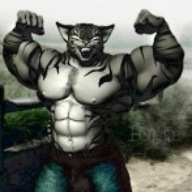 MuscleCat's picture