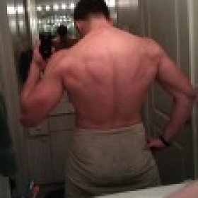 albanianarabian's picture