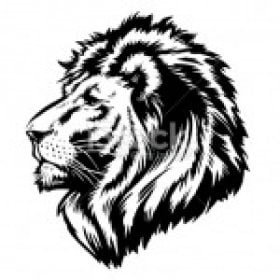 CASANOVA's picture