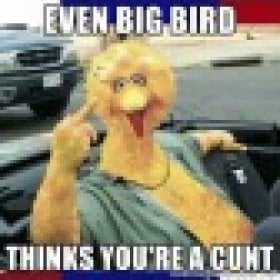 D_BLOCK's picture