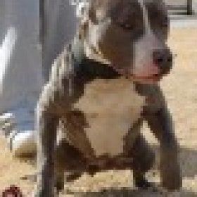 Gettin big's picture
