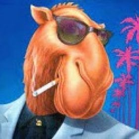 Camel de do's picture