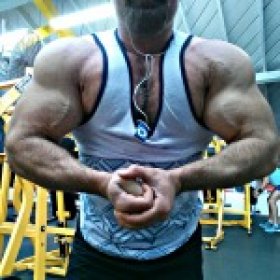 muscakl's picture