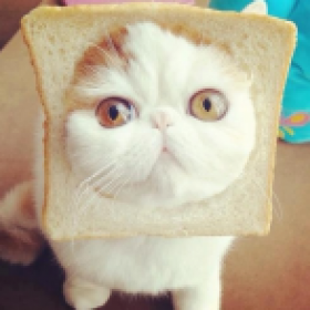 Vader_Overlord's picture